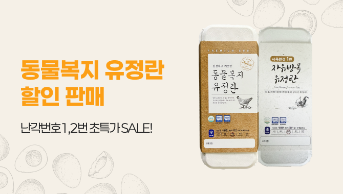 동물복지계란 특가세일
