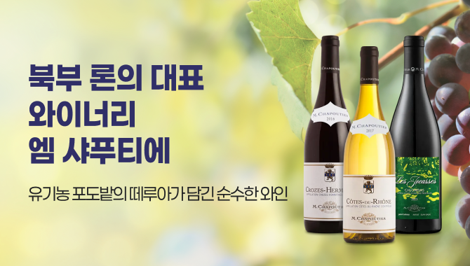 북부 론의 대표 와이너리 엠 샤푸티에